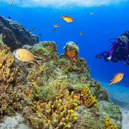 El Pisito La Dolce 펜션 *