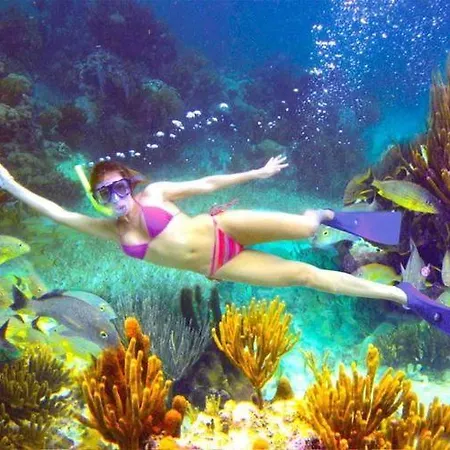 El Pisito La Dolce Casa vacanze *