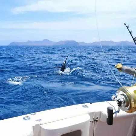 Tatil Evi El Pisito La Dolce *