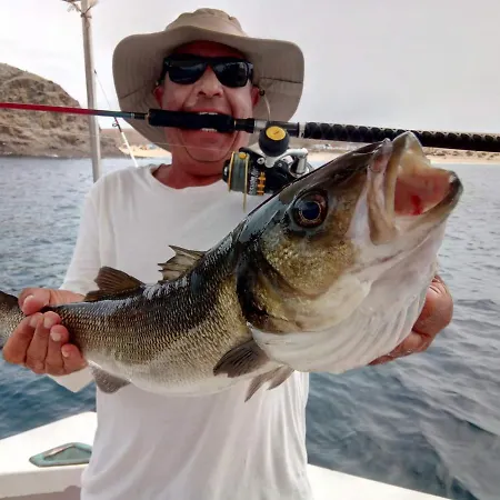 El Pisito La Dolce 別荘