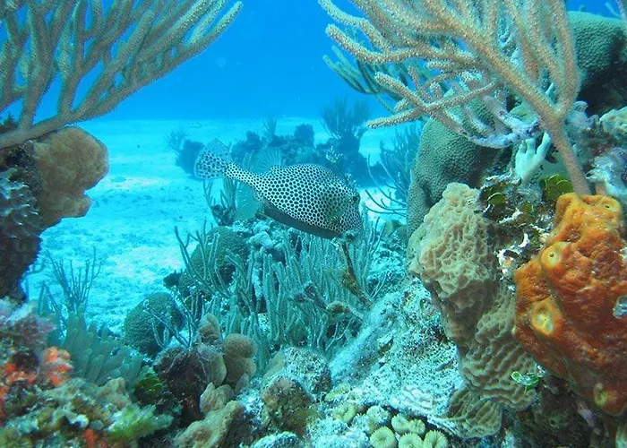 El Pisito La Dolce Πουέρτο Ντελ Κάρμεν