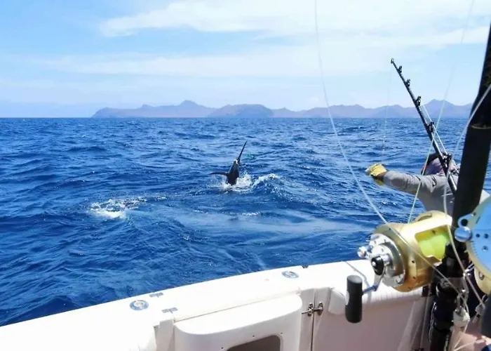 Tatil Evi El Pisito La Dolce *